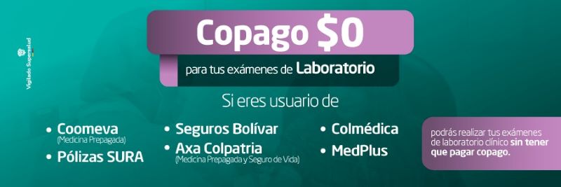 WhatsApp Image 2025-10-01 at 9.16.10 AM