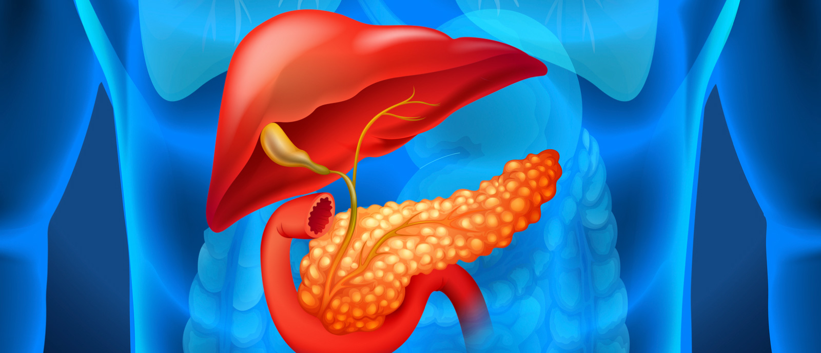 Cirugía hepatobiliopancreática - Imagen principal