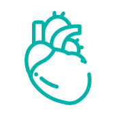 icon-cardiovascular